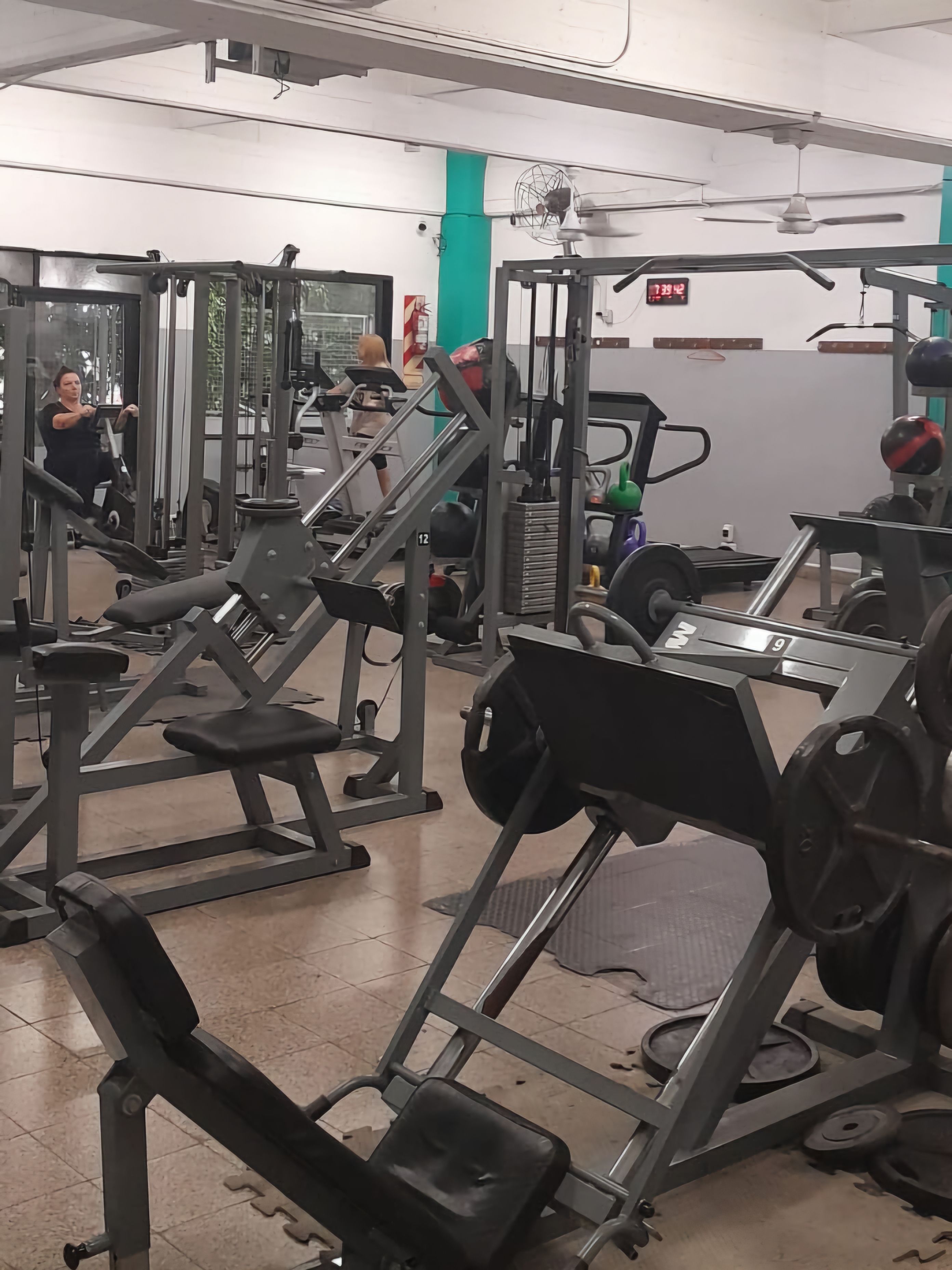 GIMNASIO